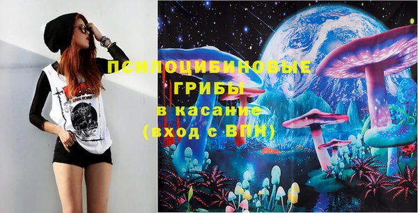 a pvp Козловка
