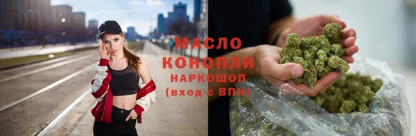твердый Козельск