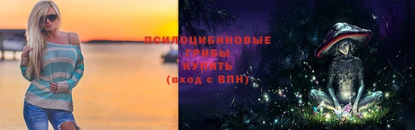 метадон Кодинск