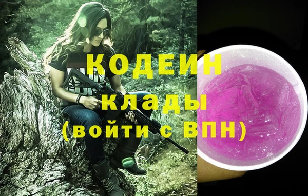 твердый Козельск