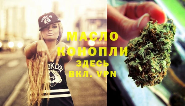 твердый Козельск