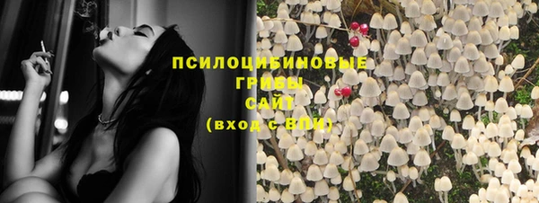 твердый Козельск