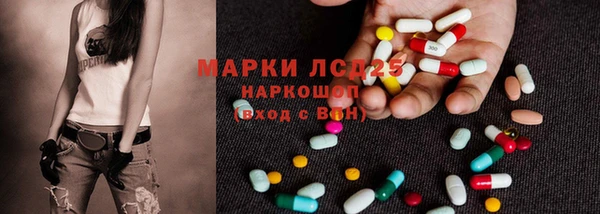 твердый Козельск