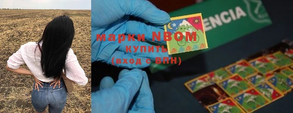 твердый Козельск