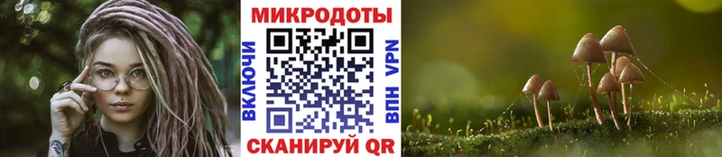 Купить закладки  Александровское  Псилоцибиновые грибы Psilocybine cubensis 